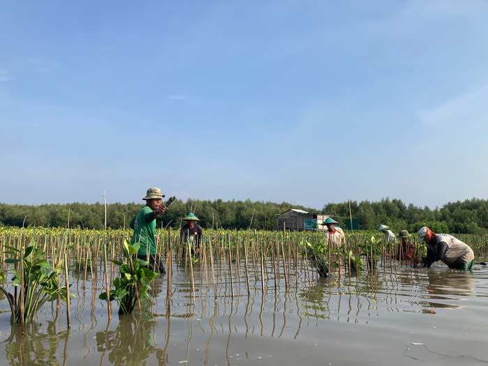 LindungiHutan Ajak Publik Rayakan Hari Menanam Pohon Indonesia dengan Aksi Nyata di Tengah Krisis Iklim