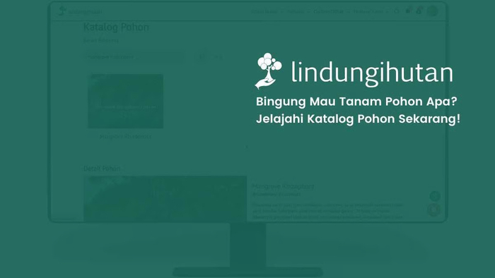 LindungiHutan Hadirkan Fitur Katalog Pohon untuk Permudah Publik dan Perusahaan Dukung Kampanye Lingkungan